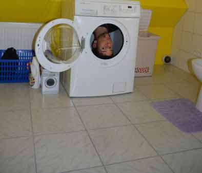 Schnappschuss: Kopf in der Waschmaschine...