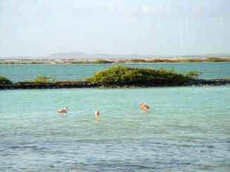 Bonaire