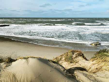 Meer Dünen Dänemark