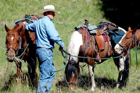 Cowboy USA Horse Ranch