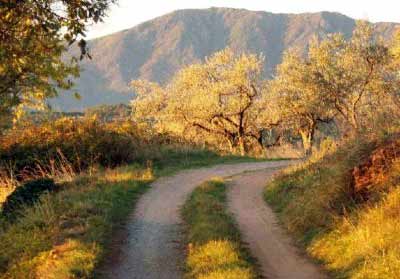 Wanderweg Cevennen